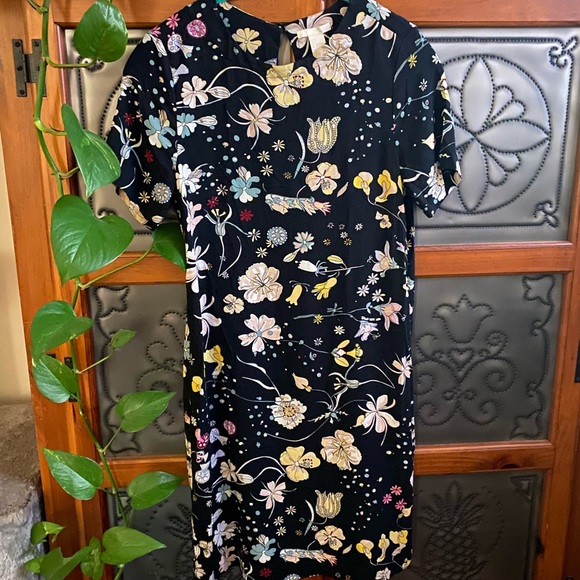 2/$10- H&M - Short Sleeve Shift Sheath Size 2 - Picture 12 of 14